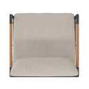 Amy Black Metal Indoor/Outdoor Patio Chair with Teak Accented Arms and Cushions