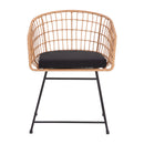 Fielder Set of 2 Indoor/Outdoor Boho Natural PE Wicker Rattan Patio Club Chairs with Cushions and Sled Bases