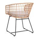 Fielder Set of 2 Indoor/Outdoor Boho Natural PE Wicker Rattan Patio Club Chairs with Cushions and Sled Bases